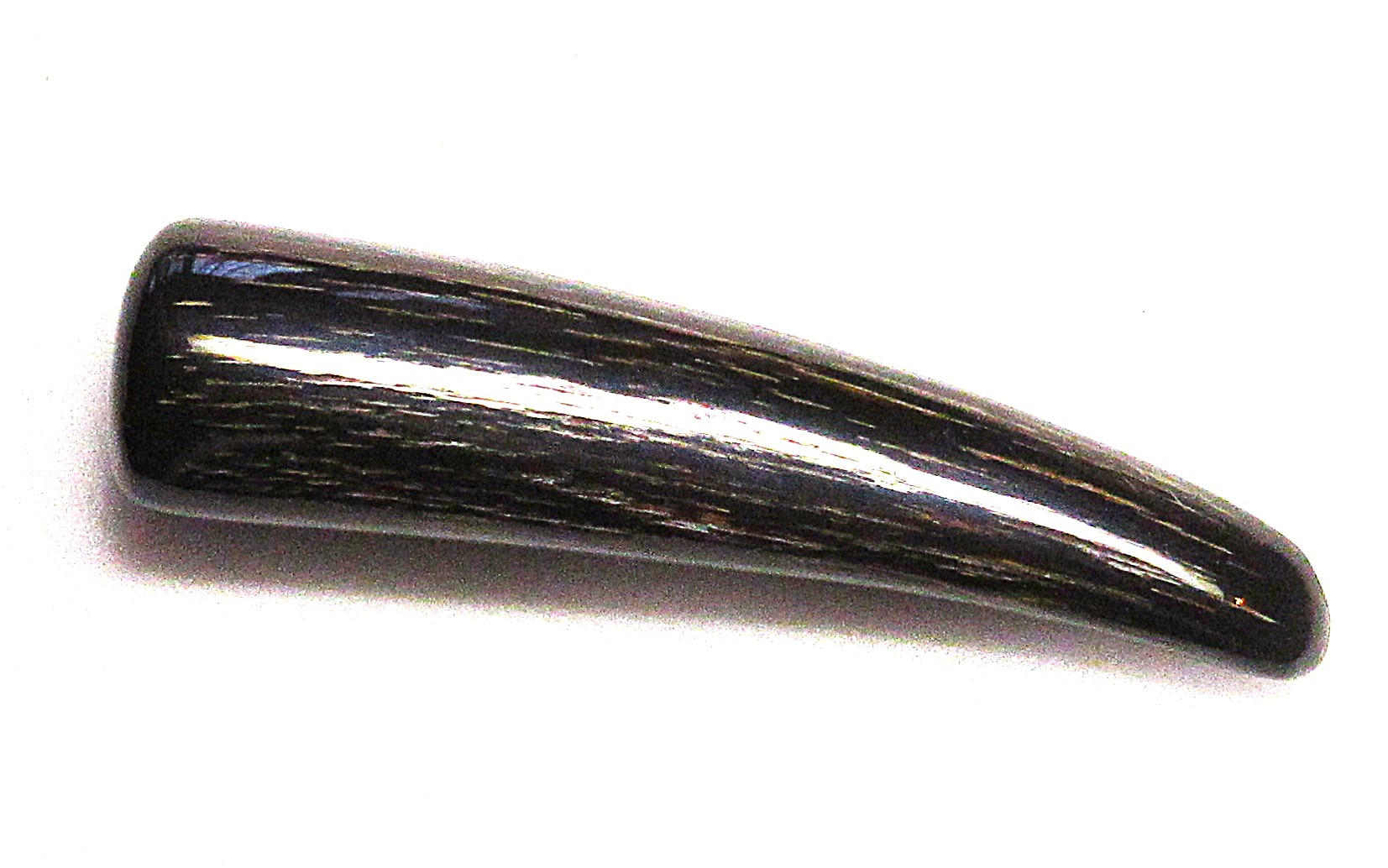 楽天市場】水牛工芸材料、水牛角。角ステッキ材（研磨済）。1）長さ