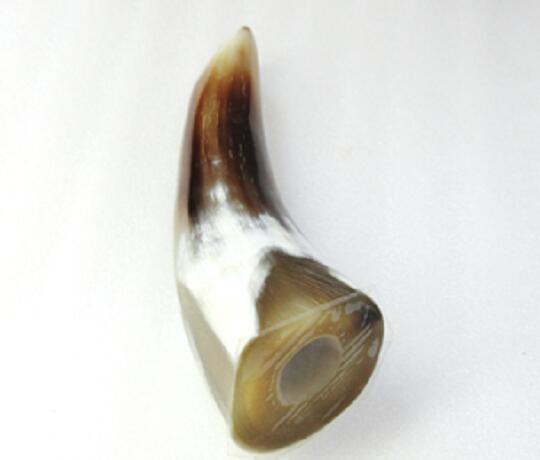 水牛角 adidas ZX Flux Winter Grey/Turquoise | Nice Kicks