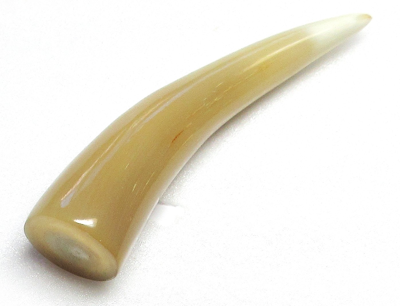 水牛の角 楽天市場】水牛の角、ハンドル材料80～85。多用途材。プロ用。長