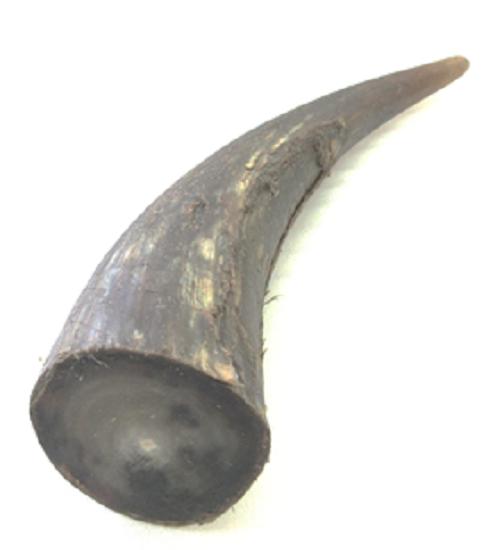 楽天市場】水牛角、原角。疑似餌材。プロ（漁師）用。ノギ入り白黒