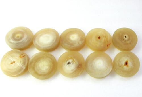 水牛アクセサリー材料、丸型段差材・直径27ｍｍ。黄金（天然色）。10個（セット）の価格。プロ（業務）用。厚み2～6m/m。加工方法在中。次の画像はこのような材料より作った作品例です。。日本製。ゆうパケット便。