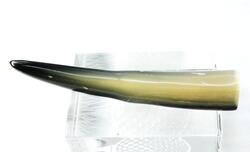 水牛疑似餌材 料。プロ用。ブロンド白黒(天然色)。長さ11.3cm・外径20.5×19.5m/m・重さ26g。二つの画像は同一のものです。最後の画像はこのような材料より作った作品例です。日本製。ゆうパケット便。|水牛のコヤマ
