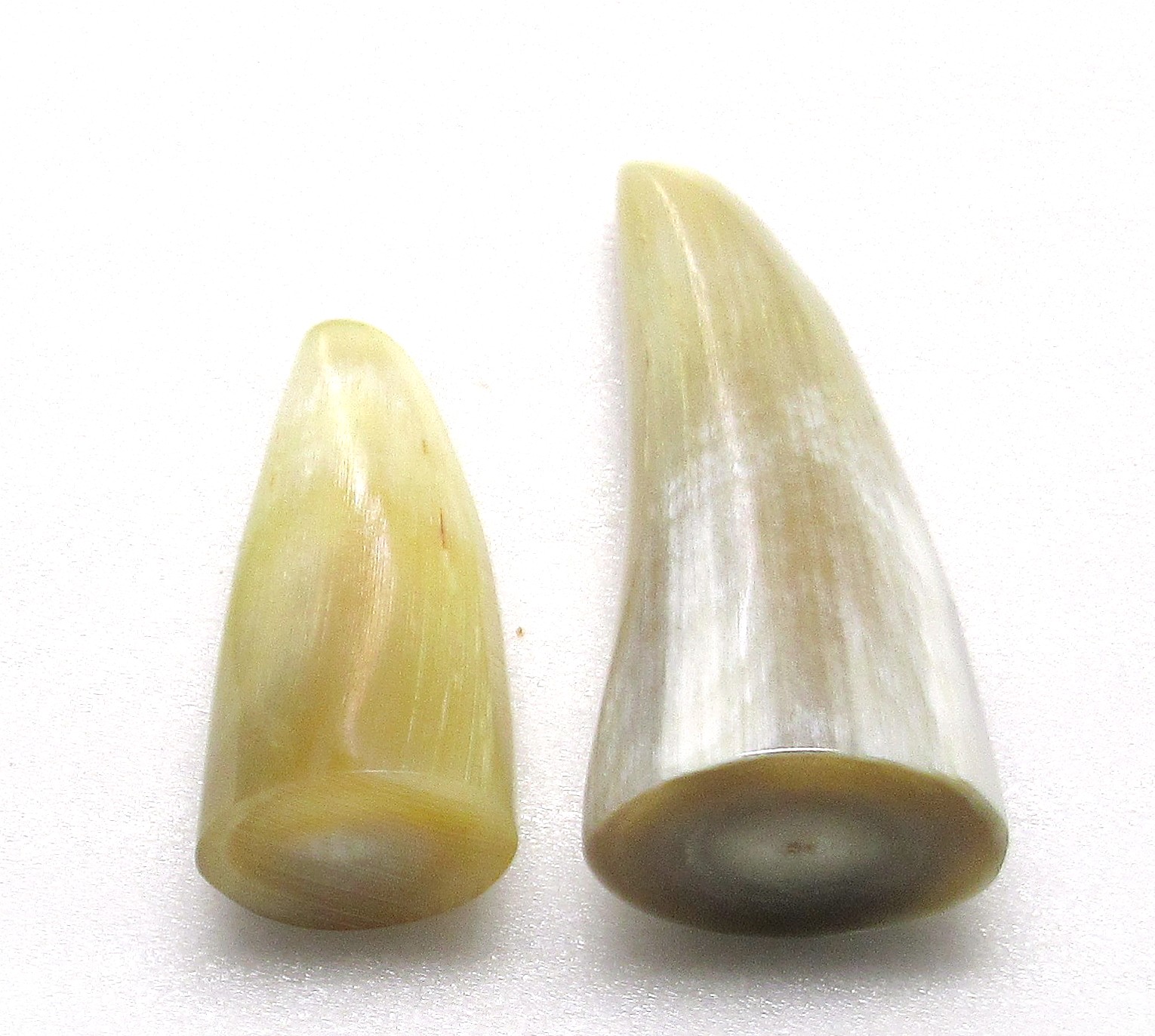 ☆水牛角・爪☆ 東亜重工製 44本組 スーパーゴールド爪 クボタ トラクター Vセンター