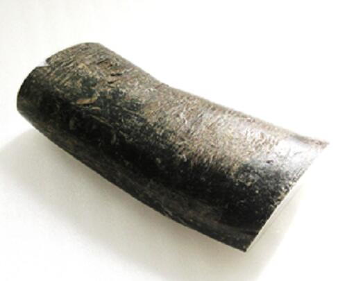 楽天市場】水牛角、原角。プロ用（漁師）。長さ264m/m・切断面、75m