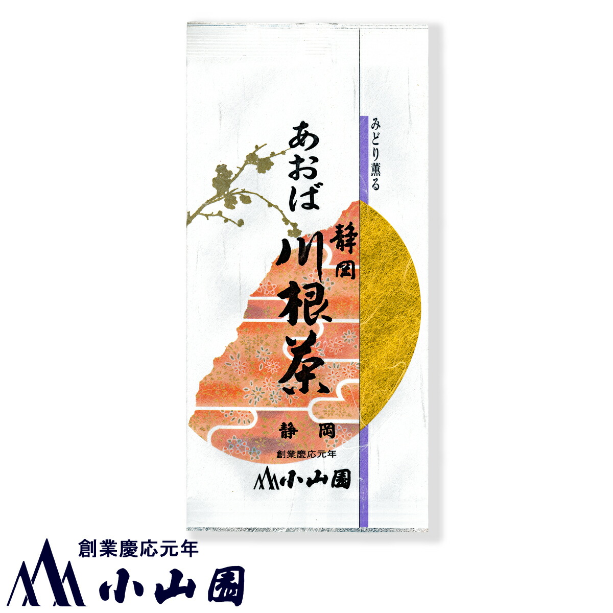 最高級　徳島　立石園　阿波晩茶　後発酵茶　100g 2個セット 阿波晩茶ティーパック 立石園 徳島 相生特産 後発酵茶 阿波番茶