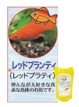 楽天市場】E1 レッドフィンオスフロネームスグラミー 18cm前後