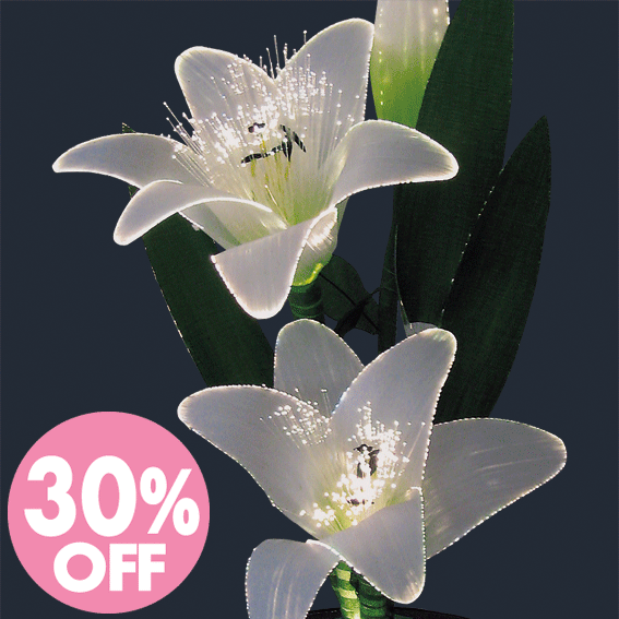 ■30%off■モダンミニ行灯（あんどん） LED ルミナス灯 リリー｜ 光ファイバー 盆提灯 盆ちょうちん モダン提灯 行灯 お盆 初盆　お供え 贈答 あかり 仏具 モダン 【smtb-TK】