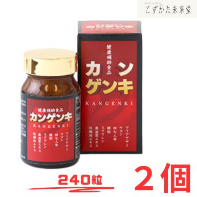 カンゲンキ 240粒×2書き割り 中心部飲み薬 ウコンバナ 聖処女マリアアザミ 田七人蔘 組みあわせる