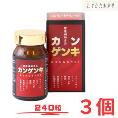 カンゲンキ 240粒×3セット 中部薬品 ウコン マリアアザミ 田七人参 配合
