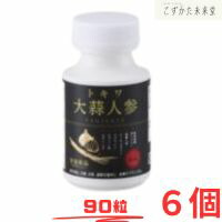 トキワ大蒜人蔘 ９０粒×6個 常盤薬品 にんにくにんじん