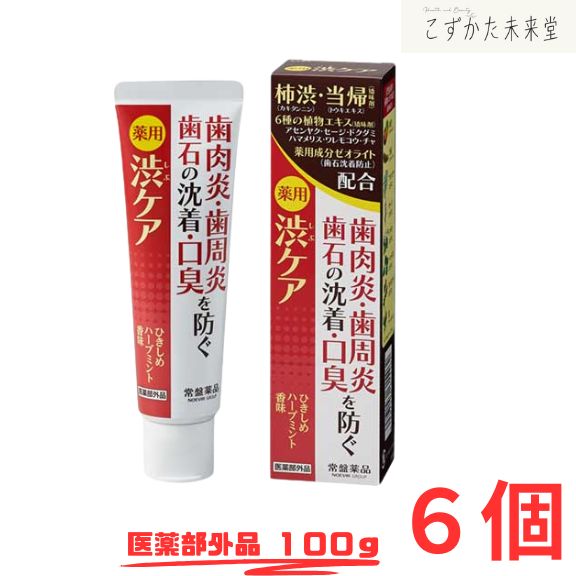 トキワ 薬用渋世話をする 100g 6個書き割り 常盤薬品 治療法部外品