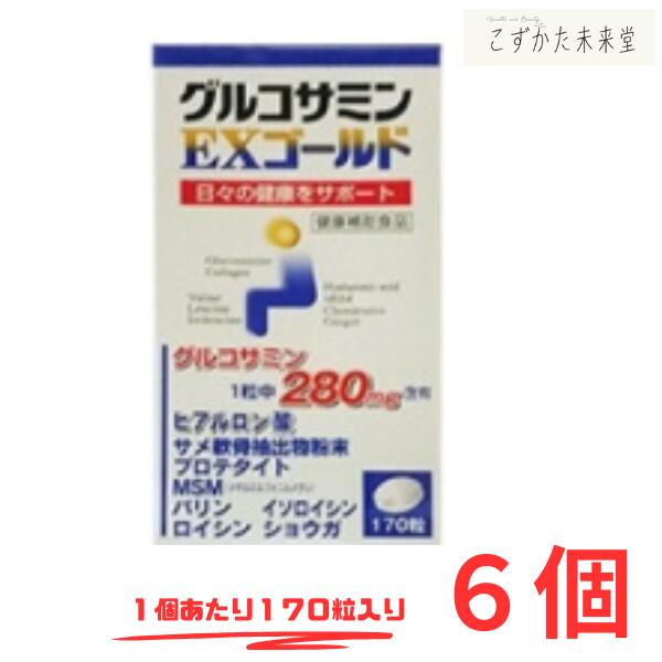 グルコサミンＥＸ ゴールド １７０粒 6個書き割り グルコサミン コンドロイチン ヒアルロン酸 msm 加えること 東亜医薬品 思わしい食料雑貨類 サプリ
