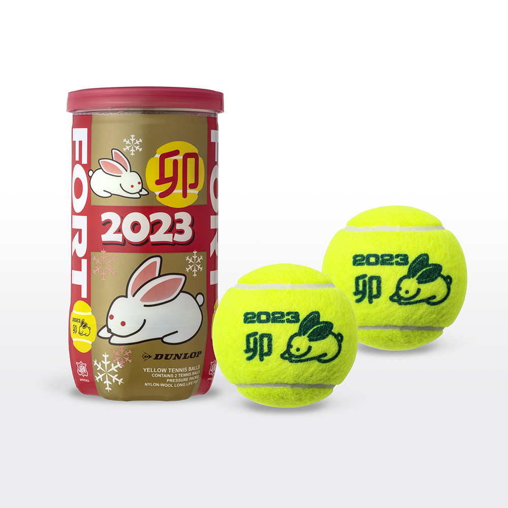 FORT(フォート) 硬式テニスボール ダンロップ 30缶60球 当季大流行 www