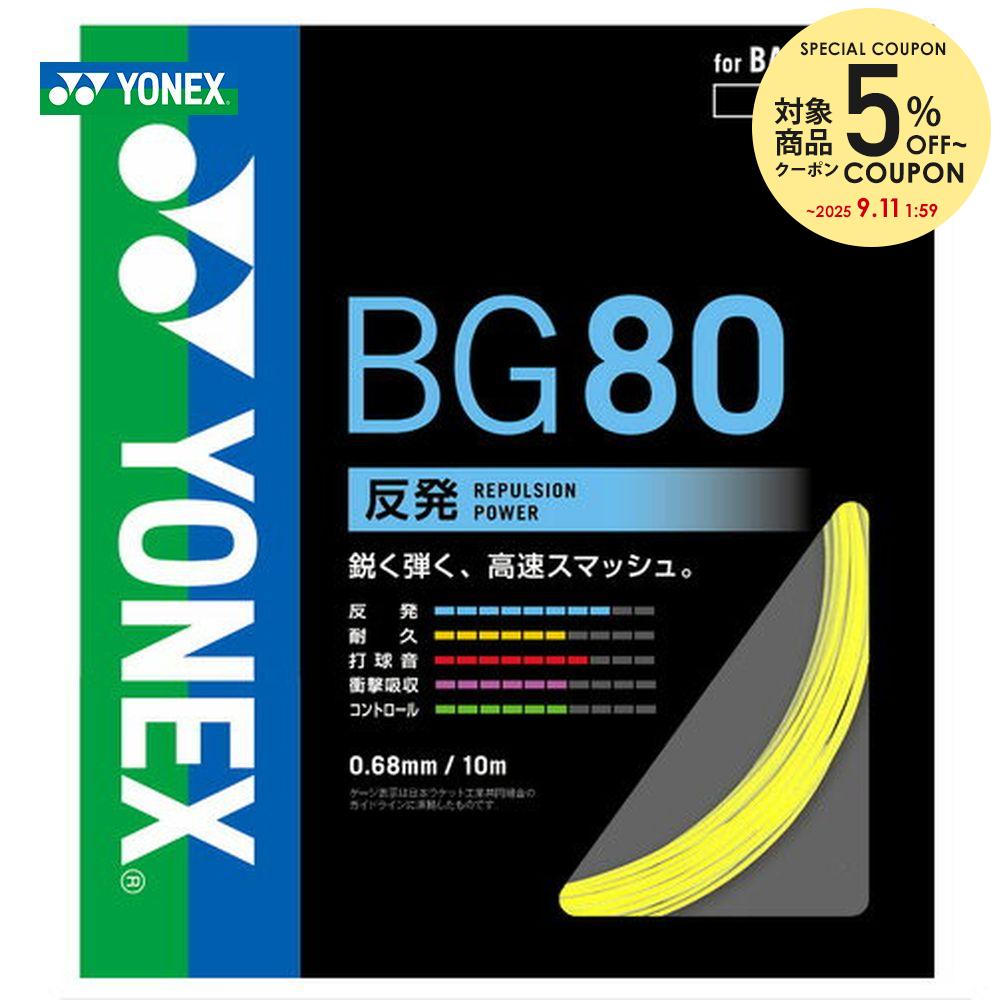 バドミントンアストロクス100zz4Ug5 2本セット YONEX アストロクス100ZZ AX100ZZ ヨネックス バドミントン
