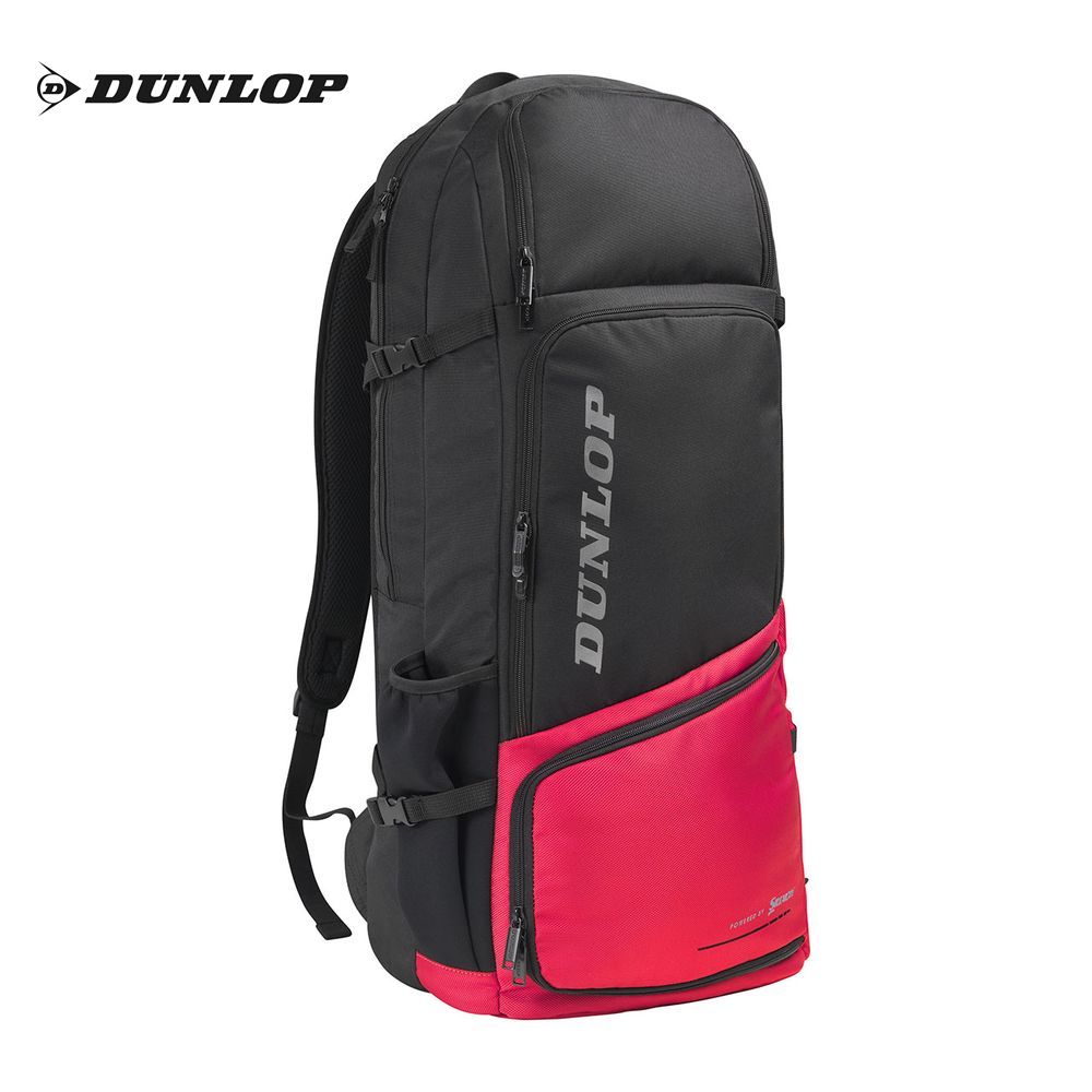 SALE／37%OFF】 ダンロップ DUNLOP テニスバッグ ケース ロングバッグパック ラケット2本収納