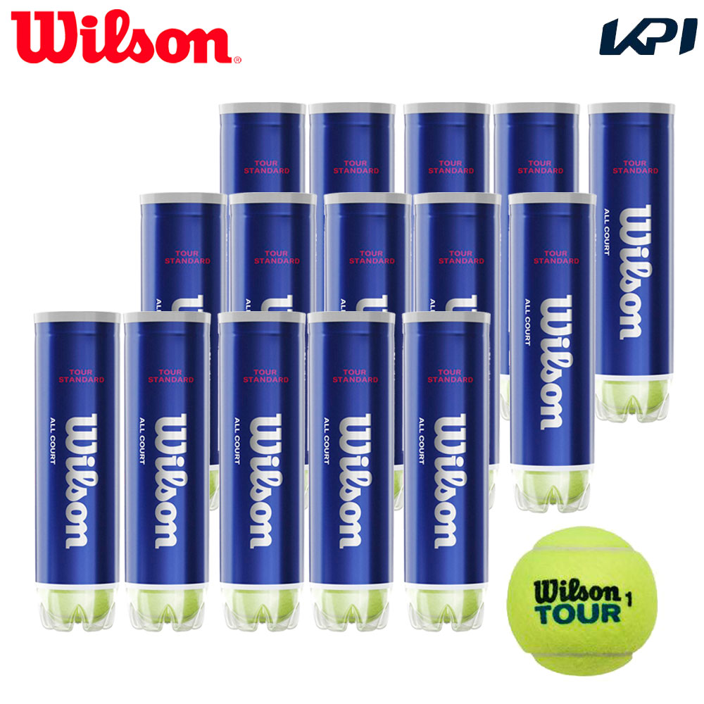 【SDGs事業計画】Wilson(ウイルソン)「TOUR STANDARD（周遊旅行・判定基準） 1箱（15缶） WRT103800」庭球どんぶり鉢『即日積みだし』