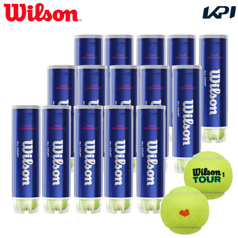 【SDGs事業計画】「KPI一風変わった模範例」Wilson ウイルソン TOUR STANDARD 周遊旅行・判定基準 1箱（15缶） WRT103800 庭球どんぶり鉢 【KPI押さえる】『即日積みだし』