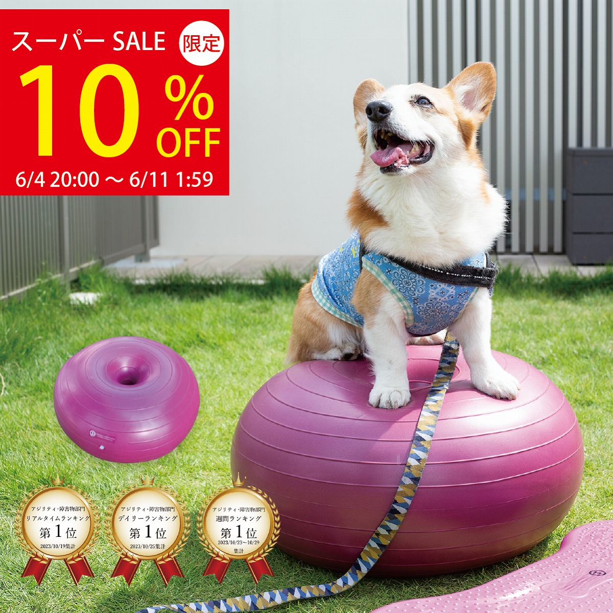 ＼百貨店SALE★10%OFF\u0026P2倍！引き換え証散り散り中／【度合い1位！】犬用平衡にするどんぶり鉢 アプリアドーナッツボールプラス 【毛の荒物自然科学治療法士養成】毛の荒物自然科学社会復帰インターナショナル連合お墨付き わんお父ちゃんの為の筋トレグッズ  筋トレ 腕力 足腰 老犬 年がしら犬  老いらく犬