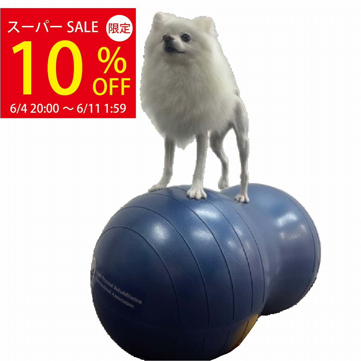 ＼百貨店SALE★10%OFF\u0026P2倍！引き換え証散り散り中／犬用平衡にするどんぶり鉢 アプリアピーナッツボールプラス 【毛の荒物自然科学治療法士養成】毛の荒物自然科学社会復帰インターナショナル連合お墨付き わんお父ちゃんの為の筋トレグッズ  筋トレ 腕力 足腰 老犬 年がしら犬  老いらく犬