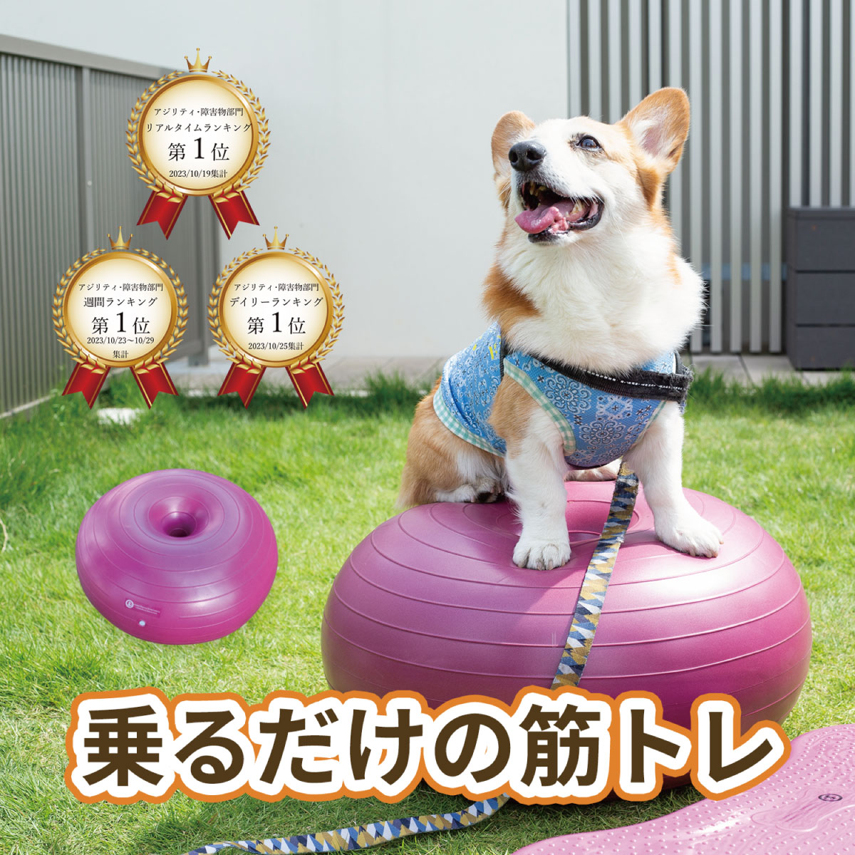 【ランキング1位!】犬用バランスボール アプリアドーナッツボールプラス 【動物理学療法士開発】動物理学リハビリ国際協会認定 わんちゃんの為の筋トレグッズ 筋トレ 筋肉 足腰 老犬 シニア犬 高齢犬|ケーピーエス 公式 店