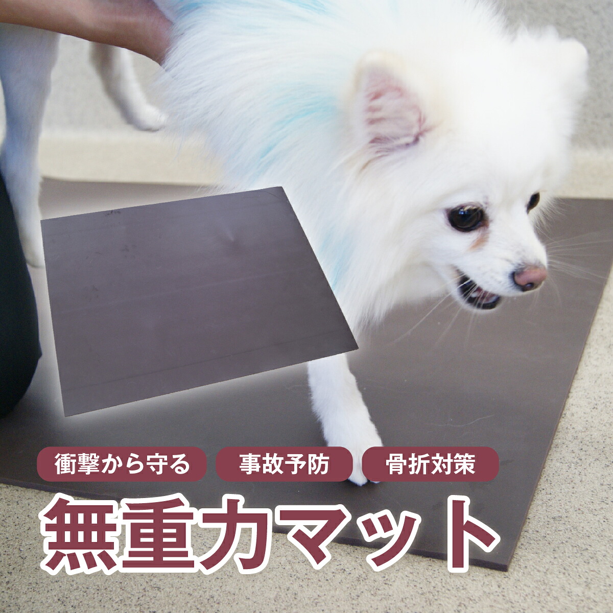 足をぼうぜん自失から守る「無重力引っ敷き」 骨折り打つ手 もしもの事止めること 毛の荒物ホスピタルやとい入れる品 介護 老犬 年がしら犬