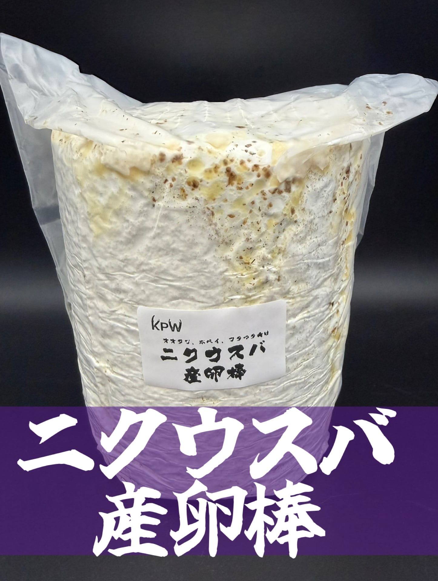 【貨物輸送無料】 【5本書き割り】ニクウスバ産卵棒 1本入り口・入口 虫けら 繁殖 おすすめ クワガタ カブトムシ KPW