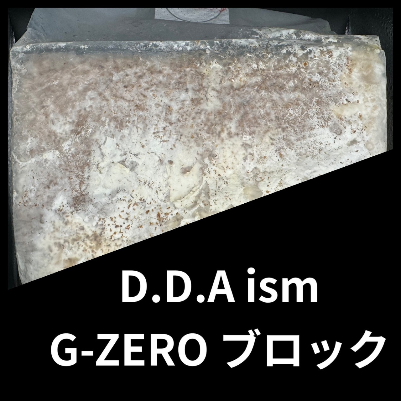 【貨物輸送無料】 【5袋書き割り】G-ZERO 立ちはだかる 3500竓 菌糸 スマトラオオヒラタといえばこれ！ 幼生繁殖に！ 大型作出実績八十万！KPW クワガタ カブトムシ D.D.A