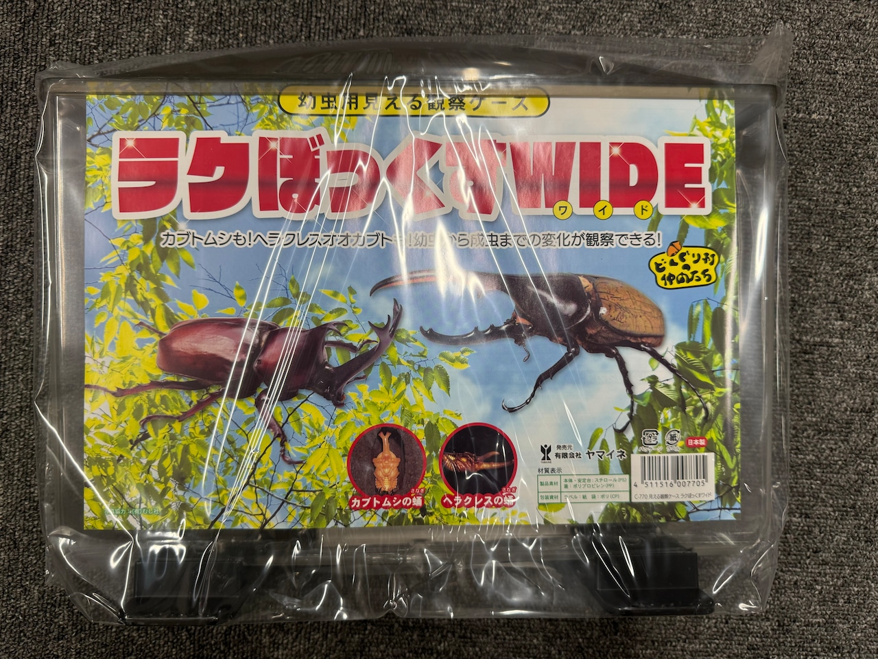 楽天市場】幼虫観察ケース ラクぼっくすWIDE 見える飼育ケース : 株式