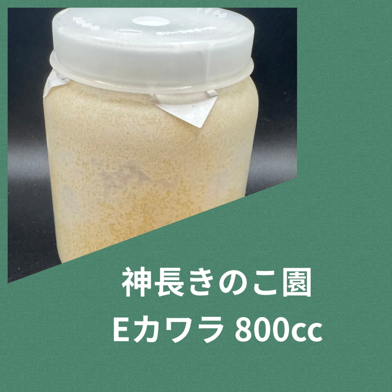 楽天市場】【送料無料】グリードSL（低添加微粒子） 産卵菌床 黒