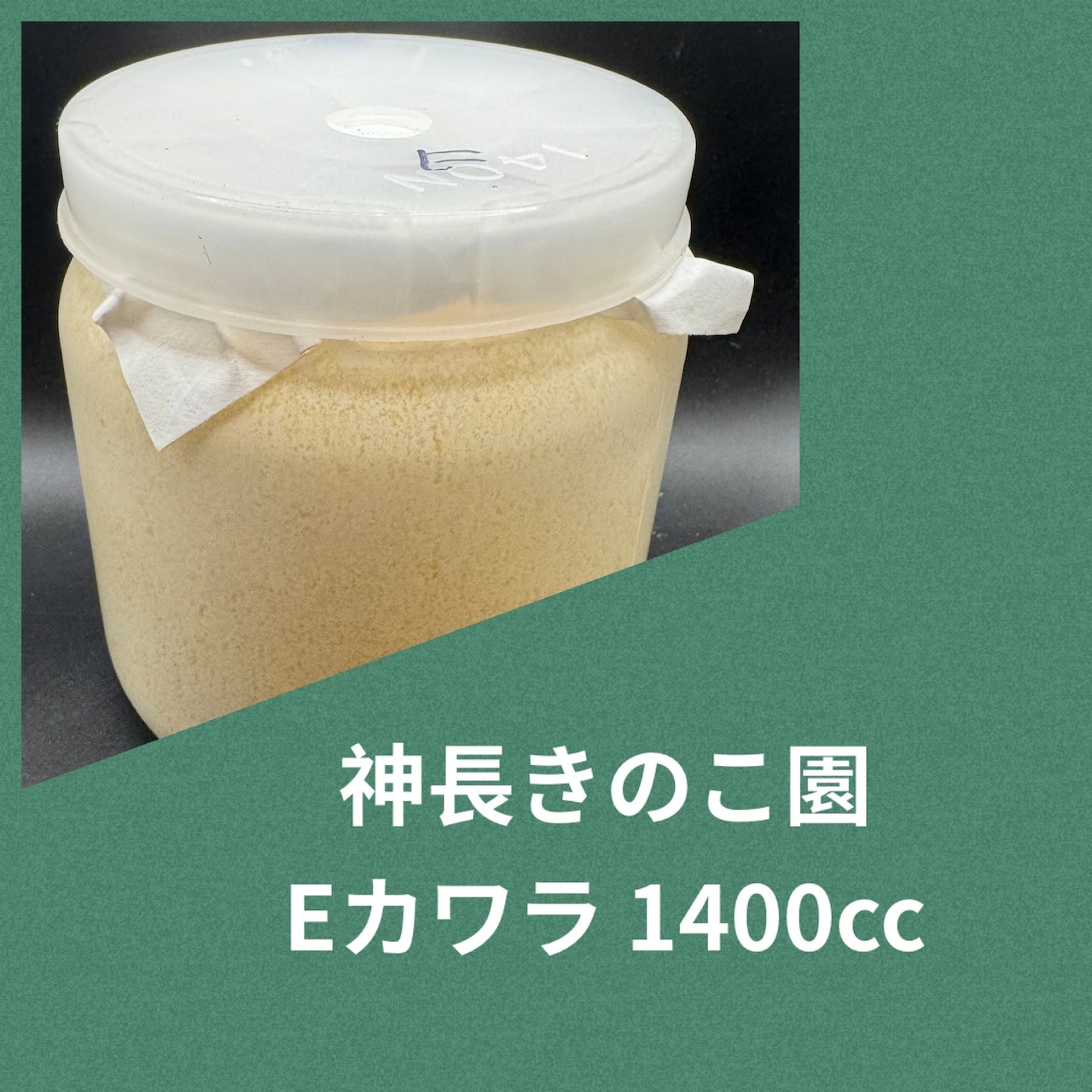 楽天市場】【送料無料】グリードSL（低添加微粒子） 産卵菌床 黒