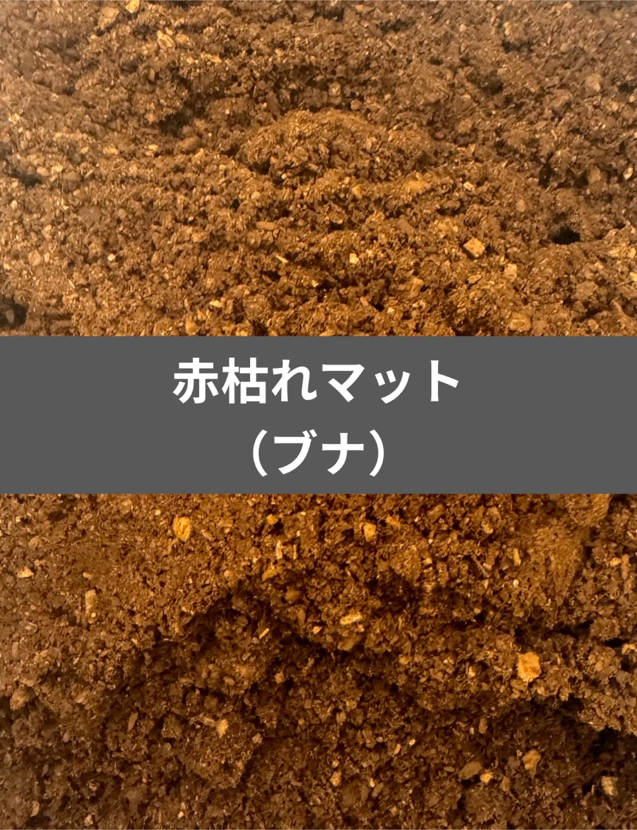 アメージングマット5L×5袋 楽天市場】【送料無料】 エクストリームマット（旧アメージング
