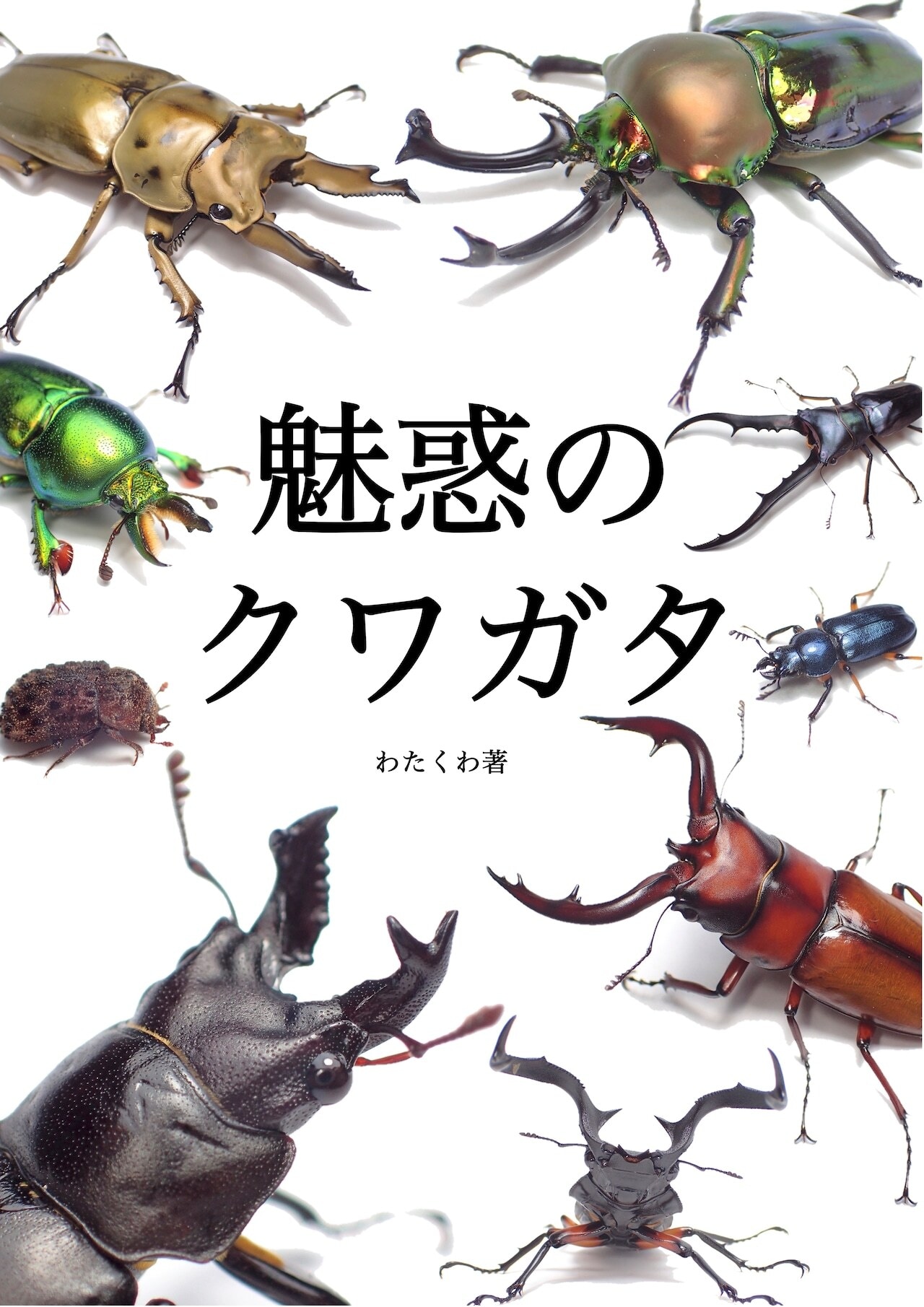 世界のカブトムシ 上 日本のマルバネクワガタ 日本のマルバネクワガタ（増補・改訂版） : 171大阪ヤフー店