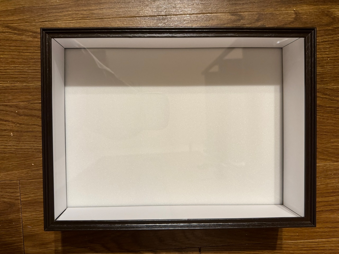 楽天市場】バードウィング製 UVカット紙製標本箱 ミニ （幅25