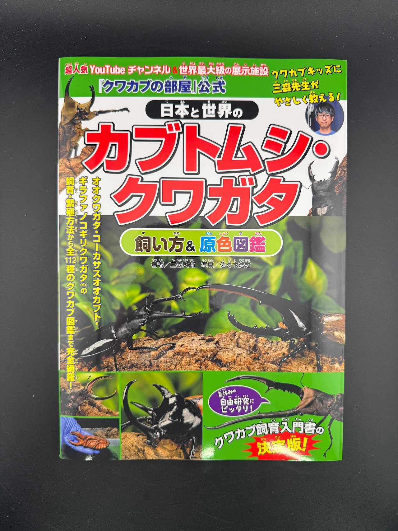 楽天市場】【送料無料】 魅惑のクワガタ（クワガタ図鑑） KPW