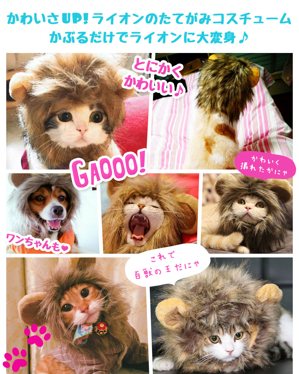楽天市場 メール便送料無料 ライオン 猫 被り物 ねこ かぶりもの かわいい たてがみ ネコ 帽子 コスプレ グッズ ペット 変身 仮装 コスチューム 小型犬 犬 耳付き キュート 猫用 犬用 ウィッグ 安い かつら 着せ替え キャット ねこちゃん わんちゃん おもちゃ