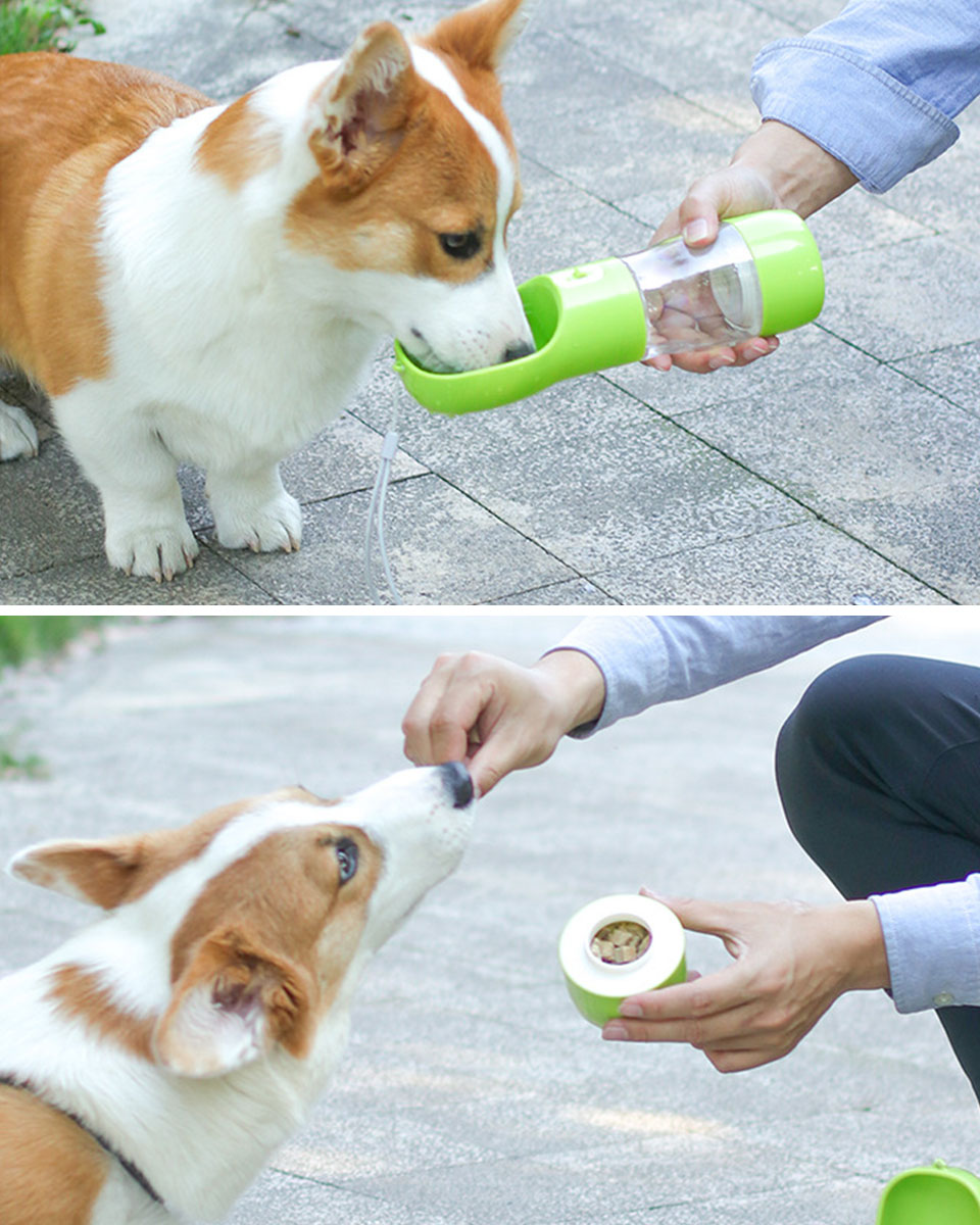 散歩 ウォーターボウルペット 犬猫用 水筒 犬 携帯 お出かけ ペット給水器 用 ワンタッチ 給水ボトル 携帯用 ウォーターボトル 水飲み