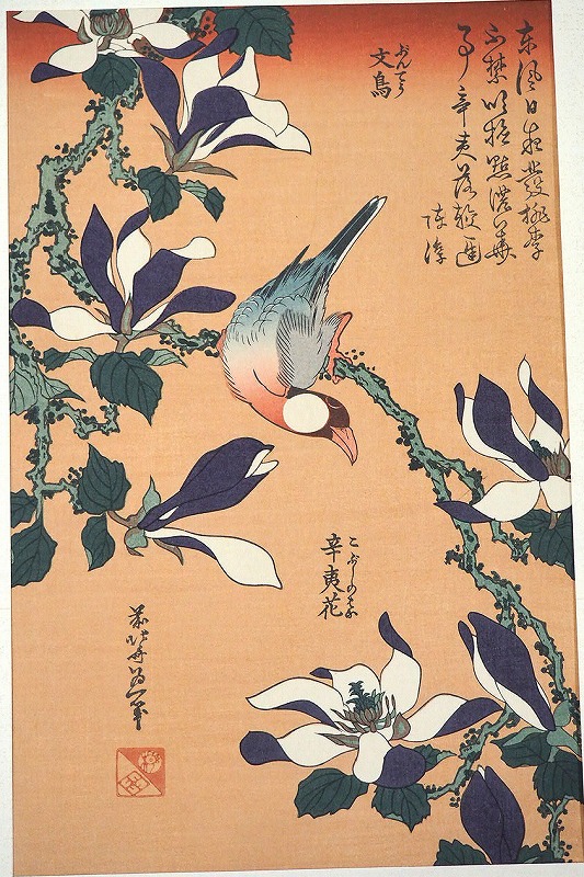 浮世絵版画　北斎.清長.春信 楽天市場】「長春花に黄鳥」 葛飾北斎 0002-7傳統芸術純木版手摺