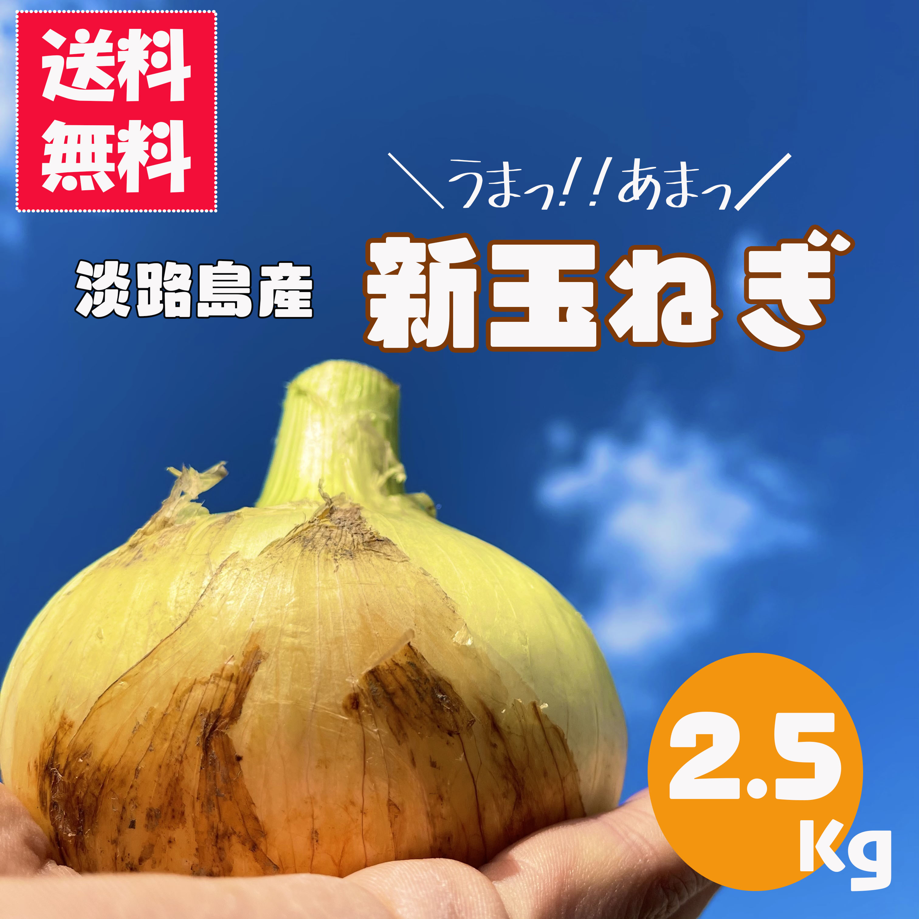 楽天市場】【2箱購入で1箱おまけ】 淡路島 新玉ねぎ 新たまねぎ 新