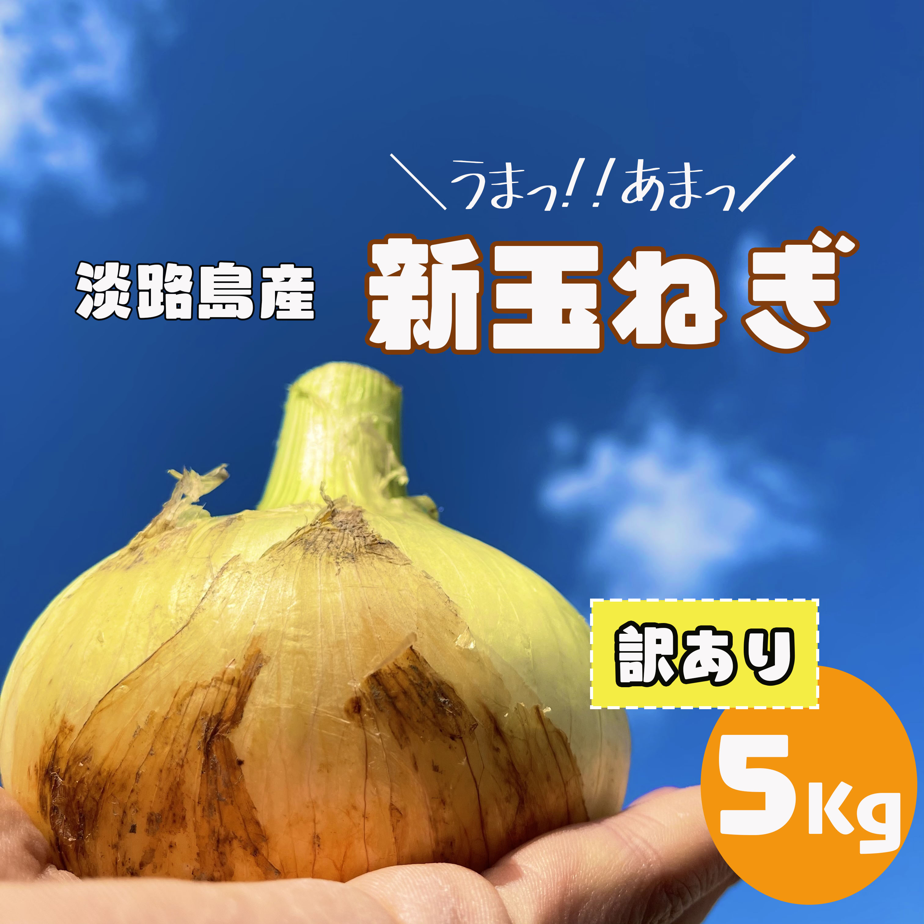 楽天市場】【訳あり】【送料無料】淡路島 新たまねぎ 5ｋｇ たまねぎ