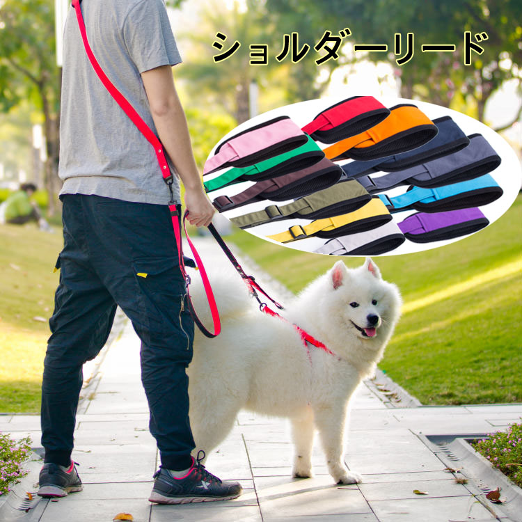 楽天市場 犬 ロングリード 30m ロープ 大型犬 中型犬 10ｍ 小型犬 m トレーニング 訓練用 リード Ks Rktshop