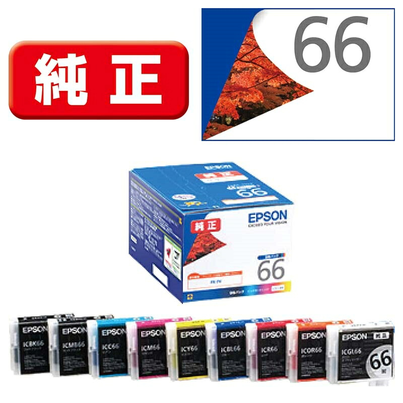 EPSON(エプソン) 純正インクカートリッジ IC9CL66 9色セット|ケーズデンキ 店