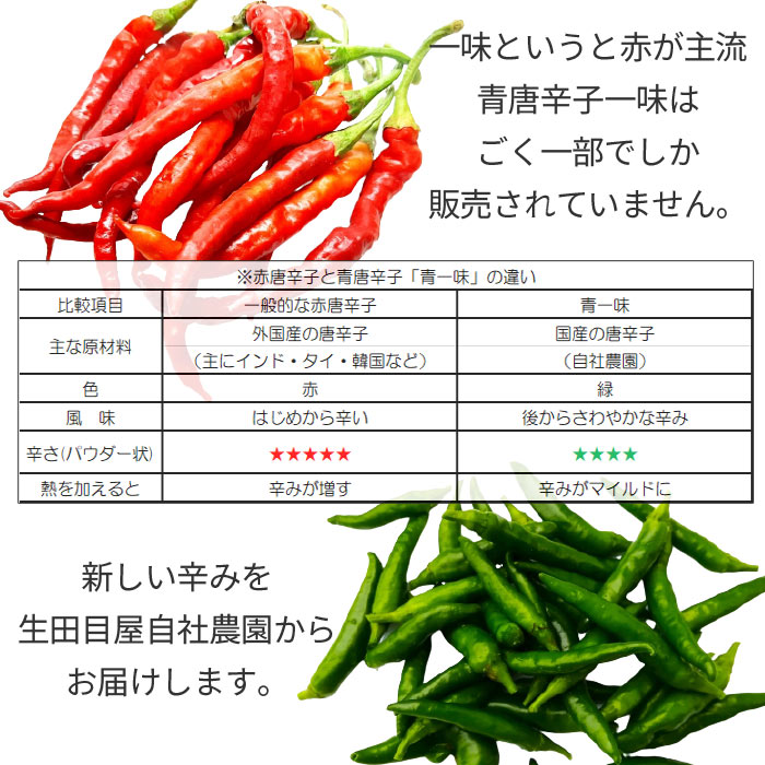 青唐辛子100g 青唐辛子 激辛 調味料 韓国調味料 韓国食品 アウトレット☆送料無料 激辛