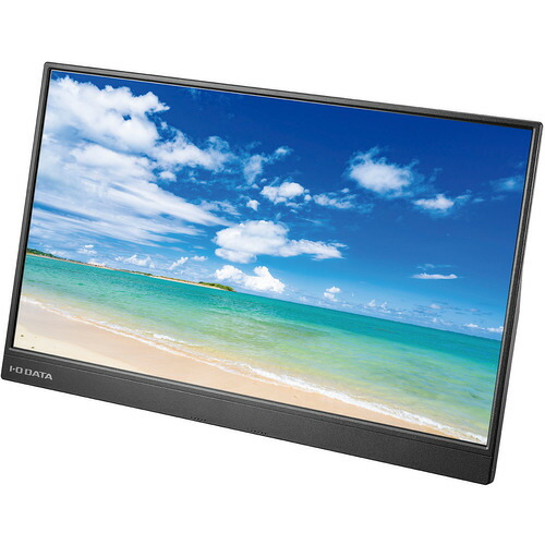 【納期約1ヶ月以上】アイ・オー・データ機器  LCD-CF161XDB-M  15.6型盛りだくさん固定ディスク相応う移動性見せびらかす I-O DATA