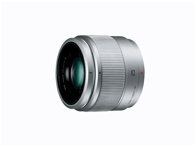 【納期約1ヶ月以上】【お一人様1点まで】H-H025-S シルバー [Panasonic パナソニック] デジタル一眼カメラ用交換レンズ HH025S