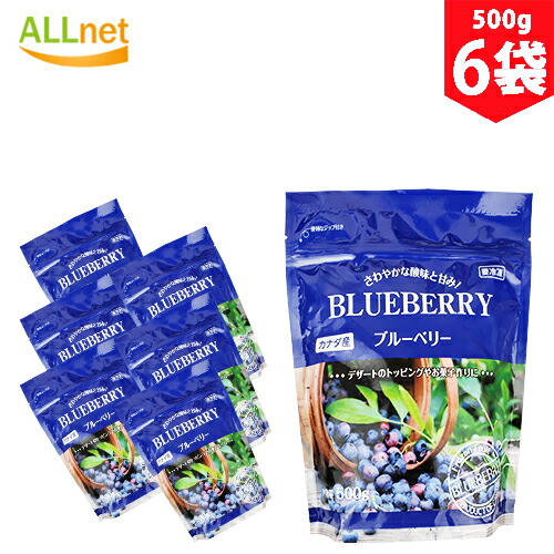 【送料無料・冷凍】BLUEBERRY ブルーベリー 500g×6袋セット カナダ産 酸味 果物 冷凍食品 業務スーパー 大容量