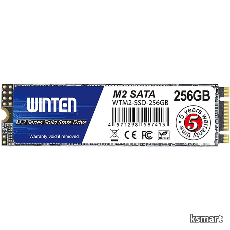 【送料無料】SSD 256GB M.2 SATA 2280 最大読取500MB/s 最大書込500MB/s 3D NAND SATA 6Gb/s B&M Key 5年保証 WTM2-SSD-256GB｜ksmart