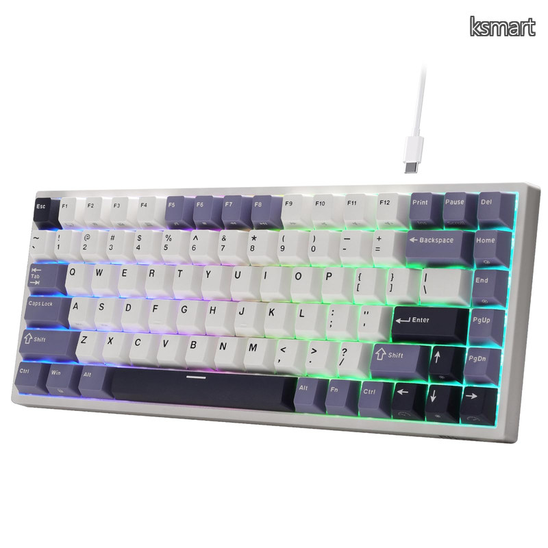 【送料無料】ROYAL KLUDGE C84 HE ラピッドトリガー ゲーミングキーボード、75% TKL 有線 RGB メカニカルキーボード、ホール効果マグネティックスイッチキーボード、アクチ｜ksmart 7,611円