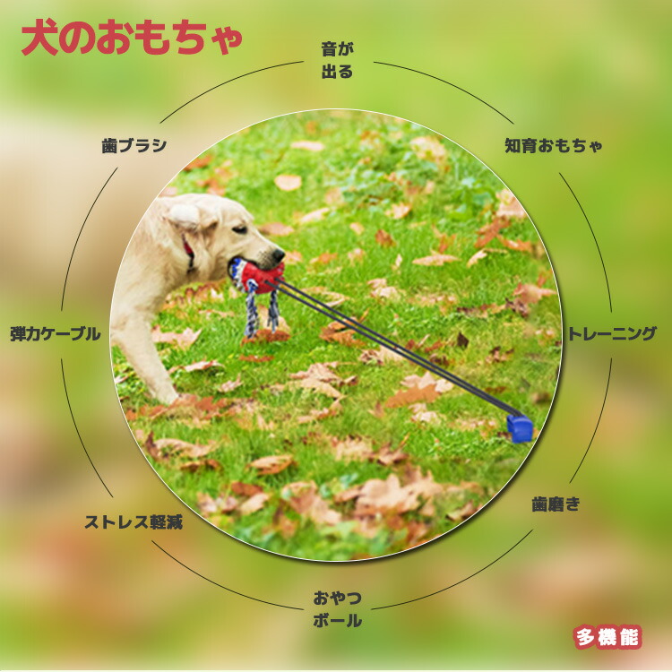 100 品質 犬用おもちゃ 係留ポール ドッグポール 係留ステッキ 噛むおもちゃ ペット用おもちゃ 運動不足 ワンちゃんの歯磨き アンカーボール ストレス解消 Whitesforracialequity Org