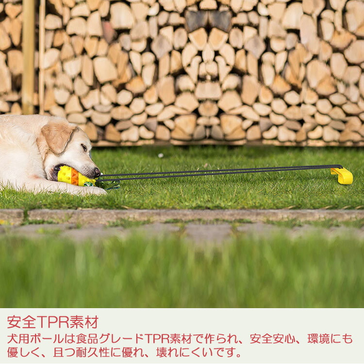 100 品質 犬用おもちゃ 係留ポール ドッグポール 係留ステッキ 噛むおもちゃ ペット用おもちゃ 運動不足 ワンちゃんの歯磨き アンカーボール ストレス解消 Whitesforracialequity Org