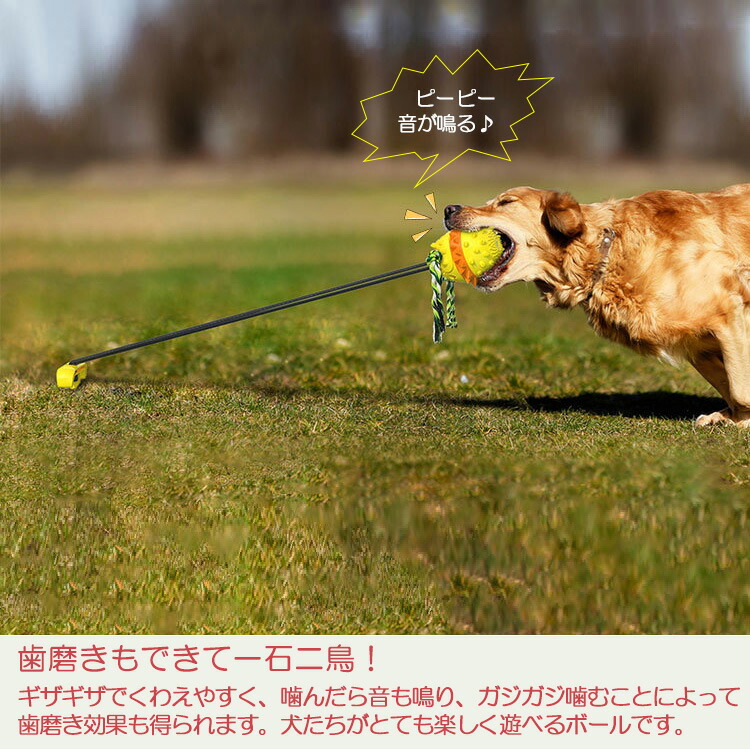 100 品質 犬用おもちゃ 係留ポール ドッグポール 係留ステッキ 噛むおもちゃ ペット用おもちゃ 運動不足 ワンちゃんの歯磨き アンカーボール ストレス解消 Whitesforracialequity Org